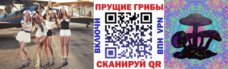 Псилоцибиновые грибы Psilocybine cubensis Среднеуральск