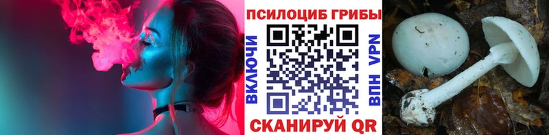 Псилоцибиновые грибы GOLDEN TEACHER  Купить  Среднеуральск 